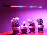 Лампа для роста растений