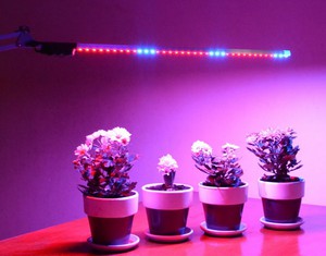 Лампа для роста растений