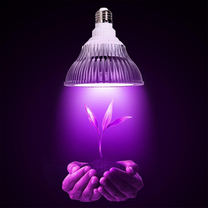 Как выбирать ламп для растений